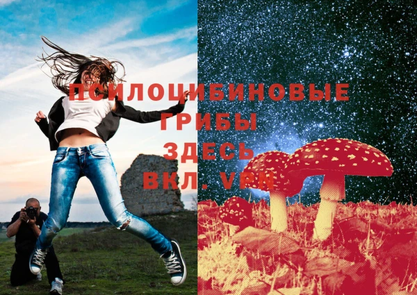 МДМА Алексеевка